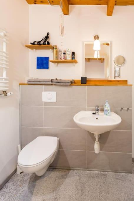 Apartment Wilhelmstr Fuer Bis Zu 3 Personen Brühl Esterno foto